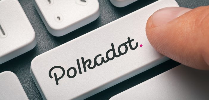 SEBA Polkadot