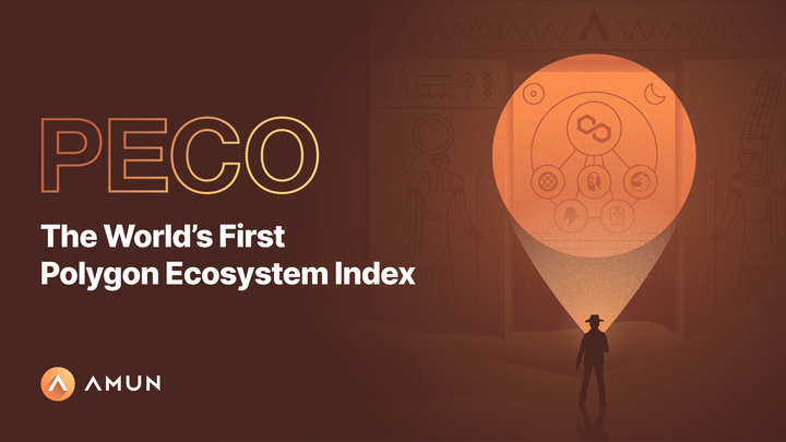 Der erste Polygon Ökosystem Index (PECO)
