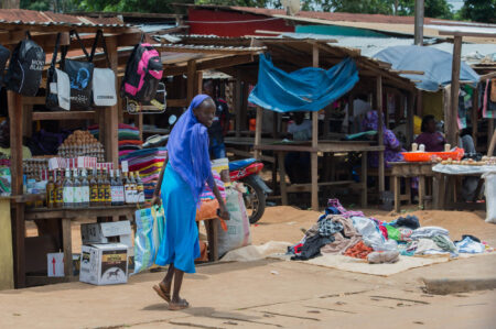 Zentralafrikanische Republik integriert Bitcoin als gesetzliches Zahlungsmittel