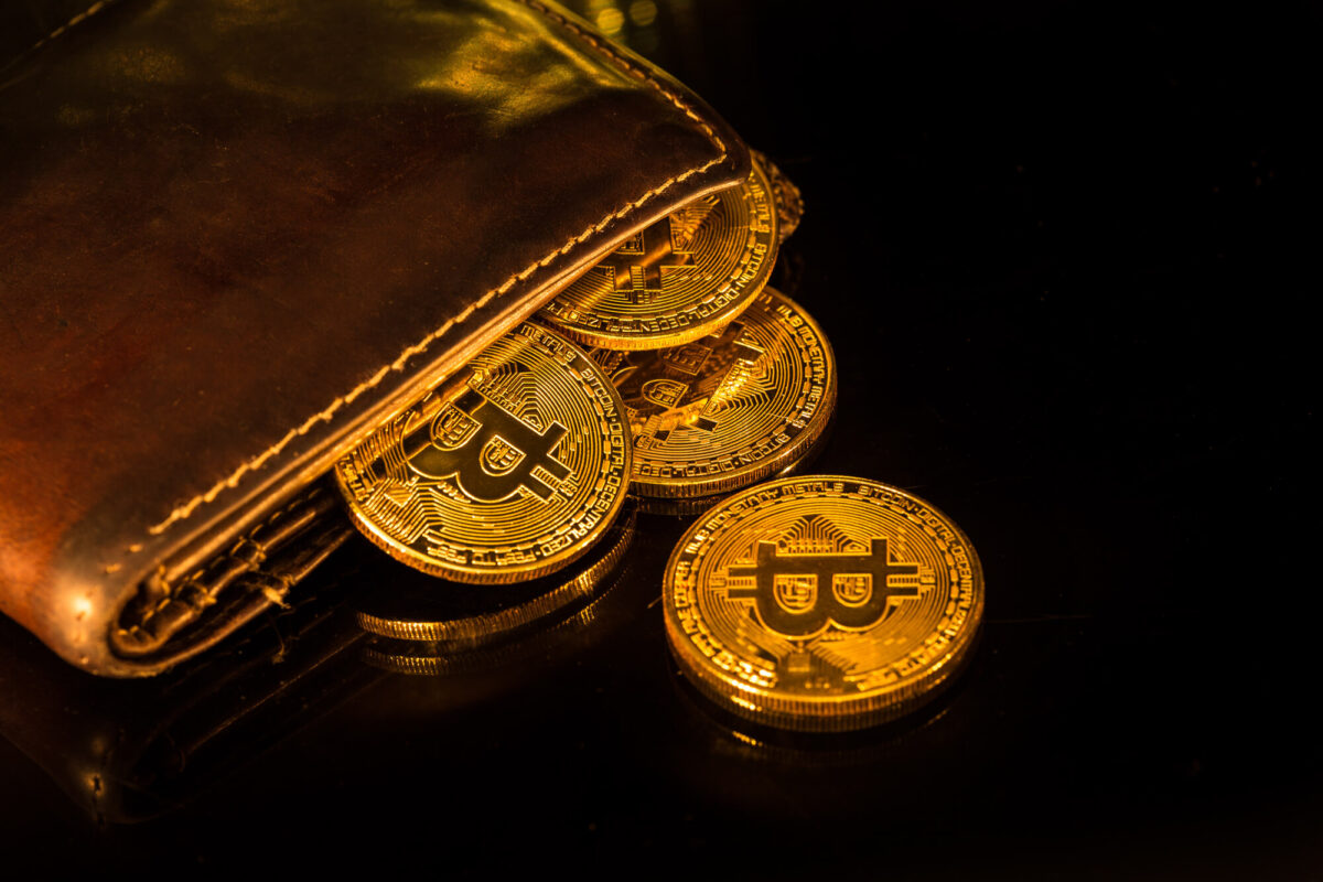 Ledger vs. Trezor - Welche Hardware Wallet soll ich kaufen?