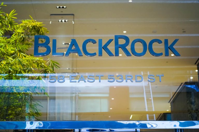 BlackRock-CEO Larry Fink sieht Bitcoin-Rallye als "Flucht zur Qualität"