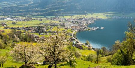 Crypto Valley verzeichnet trotz Wettbewerb Wachstum von 14%