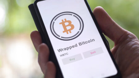 Wrapped Token Wrapped Token