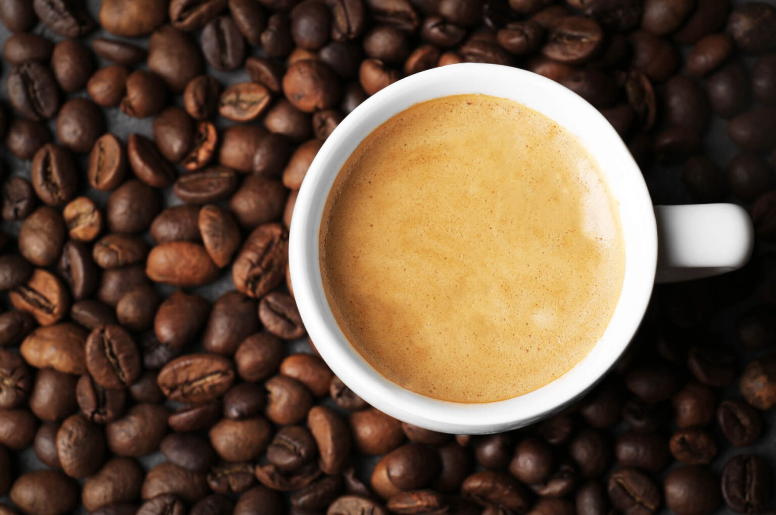 Caffeine: Schweizer KI-Plattform ermöglicht die leichte Apperstellung Caffeine: Schweizer KI-Plattform ermöglicht die leichte Apperstellung