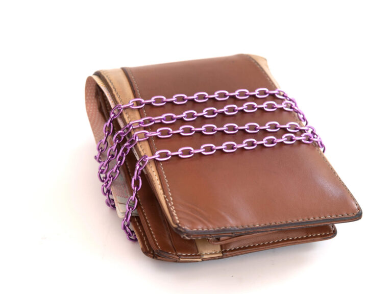 Multi-Chain Wallet Multi-Chain Wallet