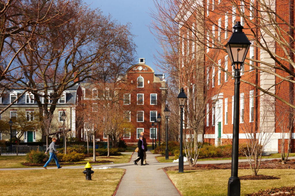 Harvard reduziert Bitcoin ETF-Position um 21 Prozent und kauft erstmals Ethereum